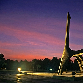 高雄賞花景點 高雄都會公園